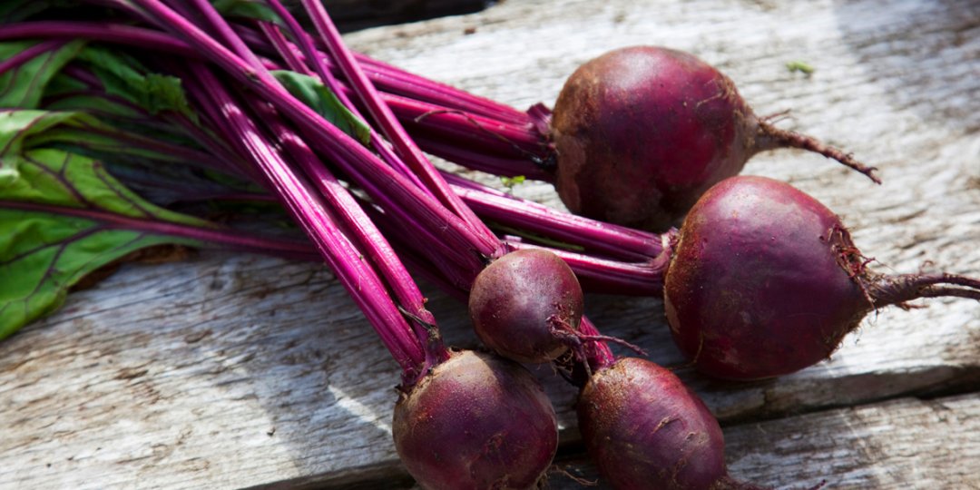 Παντζάρι το ανδρικό super food!  - Κεντρική Εικόνα