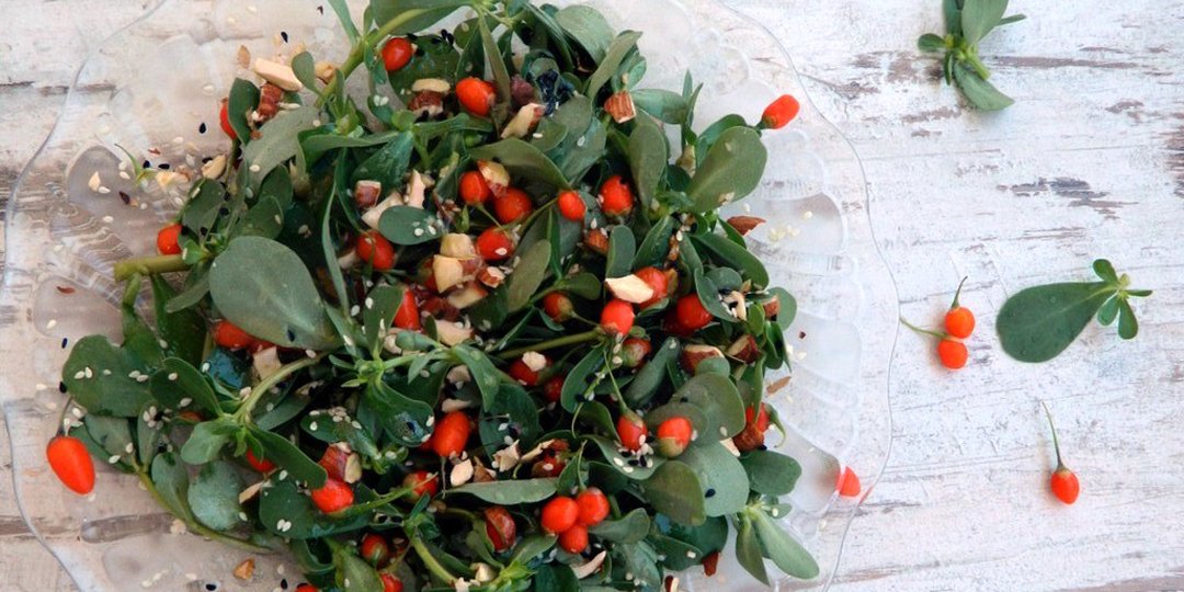 Σαλάτα με αντράκλα και φρέσκα goji berries - Images