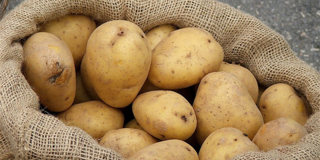 Το μυστικό για νόστιμες, τραγανές πατάτες - Κεντρική Εικόνα