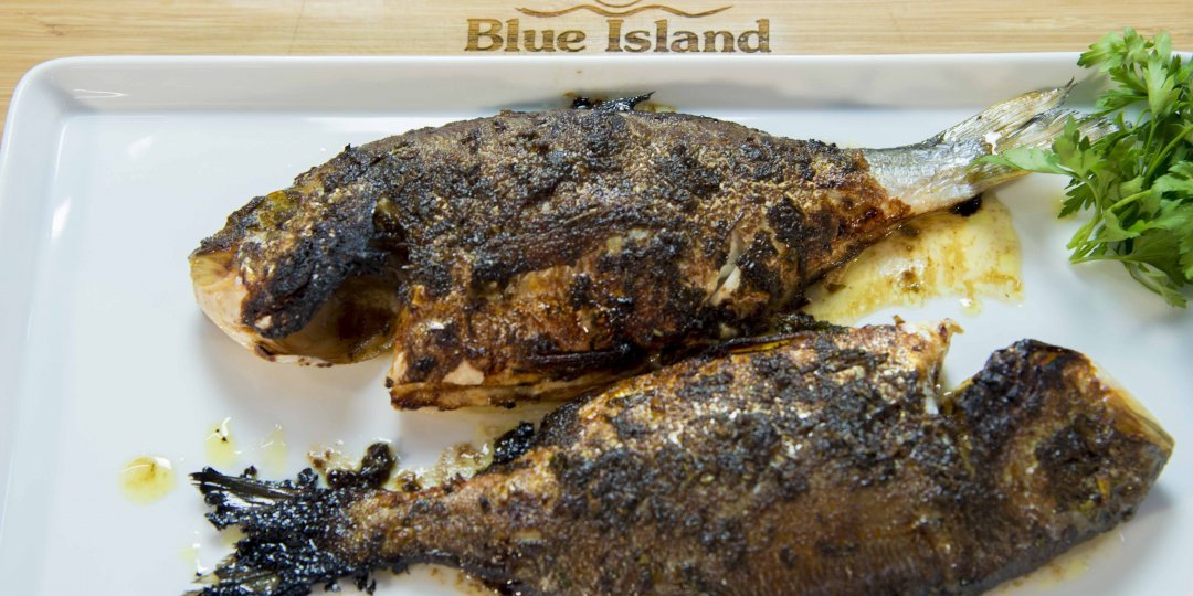 Τσιπούρα Blue Island με γλυκιά σάλτσα μουστάρδας - Images